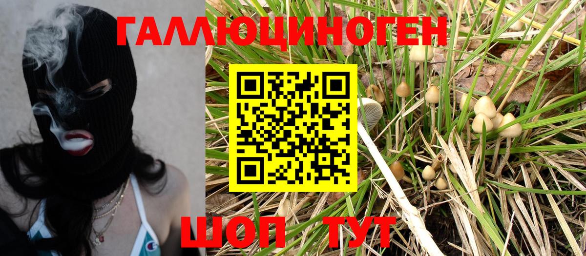 Псилоцибиновые грибы мухоморы  Вход с VPN  Удомля 